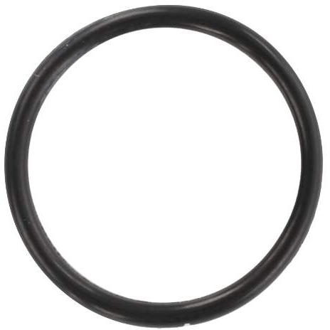 An AGCO Massey Ferguson - ORing (model number 1888706M1), which is a black rubber O-ring with a circular shape, is ideal for use in hydraulic and fuel systems of a Massey Ferguson tractor.