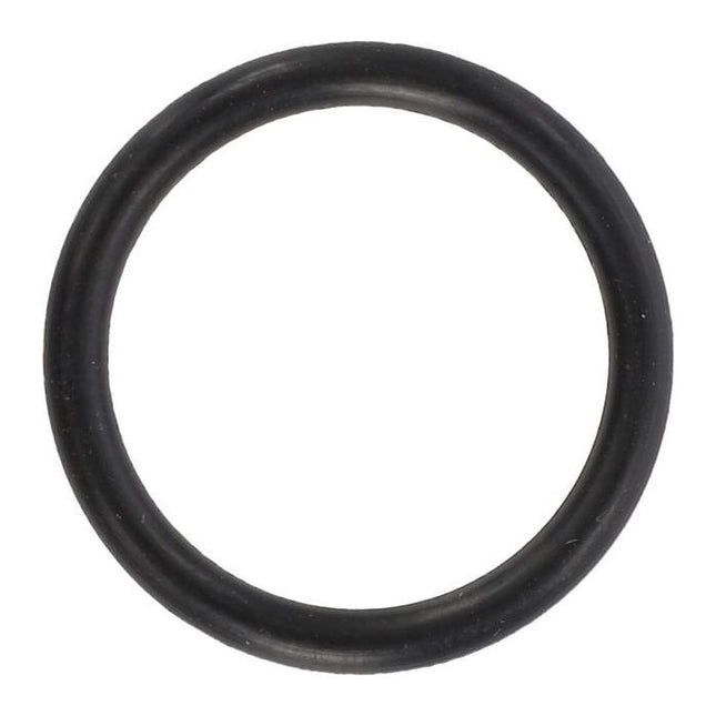 ORing Pump Mount - VA028115 - Massey Tractor Parts