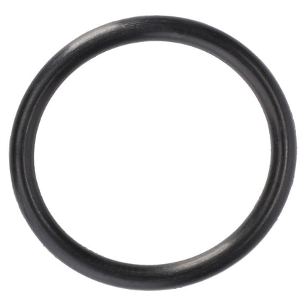 Massey Ferguson - O-RING - 70924775 - Farming Parts