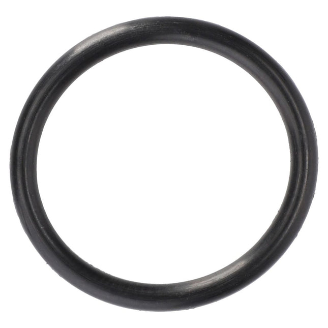 Massey Ferguson - O-RING - 70924775 - Farming Parts