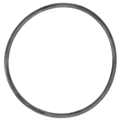 Massey Ferguson - Massey Ferguson - O Ring - 3779319M1 - Farming Parts