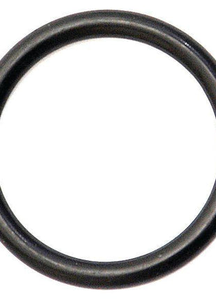O Ring 4 x 31mm 70 Shore
 - S.42299 - Massey Tractor Parts