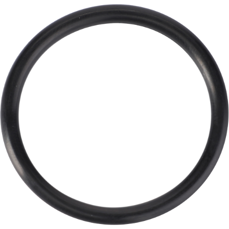 O Ring - 70923813 - Massey Tractor Parts