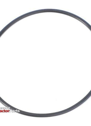 O Ring Filter - X548960666000 - Massey Tractor Parts