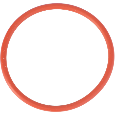 O Ring Fuel Tank - X548922800000 - Massey Tractor Parts