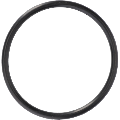 O Ring Pump Cover - 70923570 - Massey Tractor Parts
