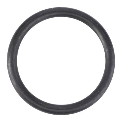 O Ring Thermostat Housing - V614604958 - Massey Tractor Parts