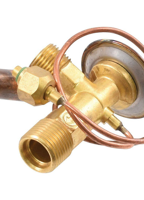 O Ring Type Expansion Valve
 - S.106791 - Massey Tractor Parts