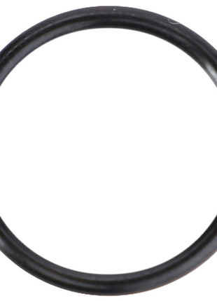 O ring - 364105X1 - Massey Tractor Parts