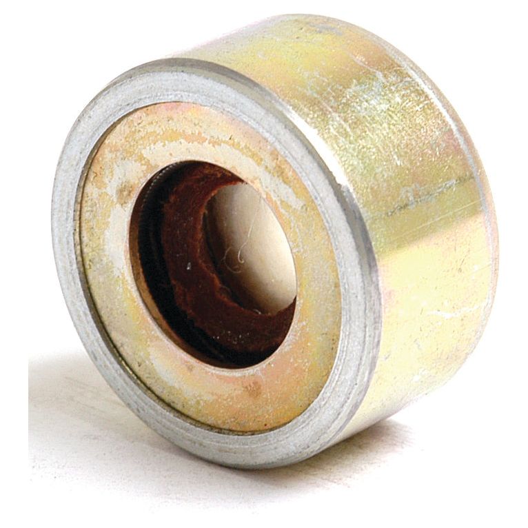 Close-up of a cylindrical metal bearing with a visible inner and outer ring, showing signs of wear and oxidation, possibly from an Oil Seal - Governor Shaft by Sparex. The part number S.43641 is stamped faintly on the outer ring.