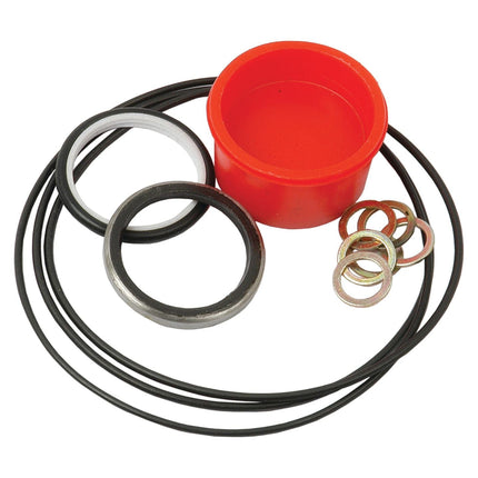 A collection of assorted rubber O-rings, metal washers, and a red circular container labeled "Sparex Orbital Motor Seal Kit | Sparex Part No.S.41499," set against a white background.