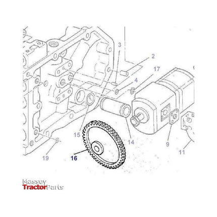 Massey Ferguson Pinion - 3382285M4 | OEM | Massey Ferguson parts | Hydraulic Pumps-Massey Ferguson-Farming Parts,Hydraulic Pump Parts,Hydraulics,Tractor Hydraulic,Tractor Parts