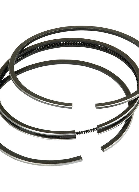 Piston Ring
 - S.40421 - Massey Tractor Parts