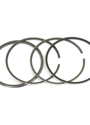 Piston Ring
 - S.40424 - Massey Tractor Parts