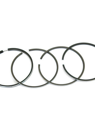 Piston Ring
 - S.40428 - Massey Tractor Parts