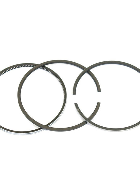 Piston Ring
 - S.41401 - Massey Tractor Parts