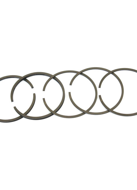Piston Ring
 - S.41614 - Massey Tractor Parts