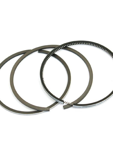 Piston Ring
 - S.42208 - Massey Tractor Parts