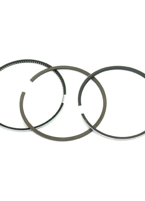 Piston Ring
 - S.42437 - Massey Tractor Parts