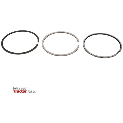 Piston Ring Set - 4222706Z91 - Massey Tractor Parts