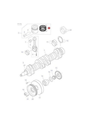 Massey Ferguson Piston Ring Set - V836640078 | OEM | Massey Ferguson parts | Engine Parts-Massey Ferguson-Block Components,Engine & Filters,Engine Parts,Farming Parts,Hydraulic Cylinders & Rams,Hydraulic Ram Parts,Hydraulics,Liners,Pistons,Rings,Tractor Hydraulic,Tractor Parts