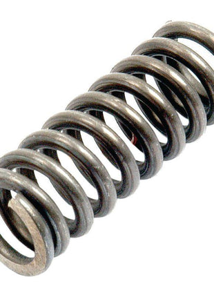 Plunger Spring
 - S.41974 - Massey Tractor Parts