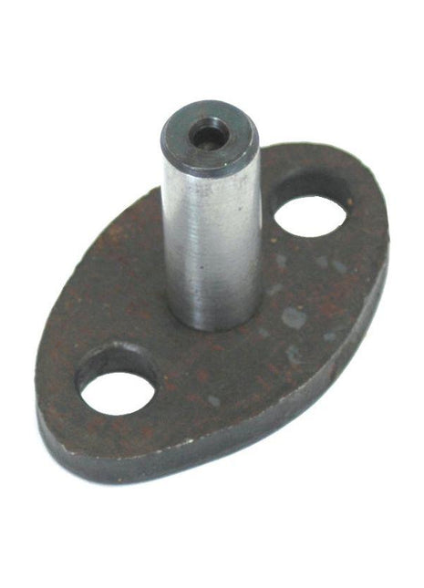 Pump Support Peg
 - S.41553 - Massey Tractor Parts