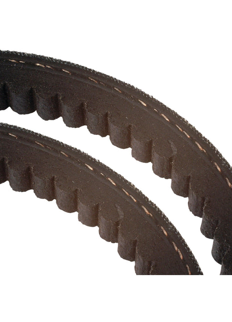 Raw Edge Moulded Cogged Belt Kit - AVX Section - Belt No. AVX13x1275 (Set of 2)
 - S.25564 - Massey Tractor Parts