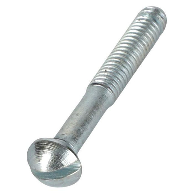 Close-up image of a metallic screw with a round head and threaded body, reminiscent of the robust Massey Ferguson - Screw Headlight (2802112M1) by AGCO.