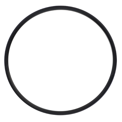 Seal Filter - 3903195M1 - Massey Tractor Parts