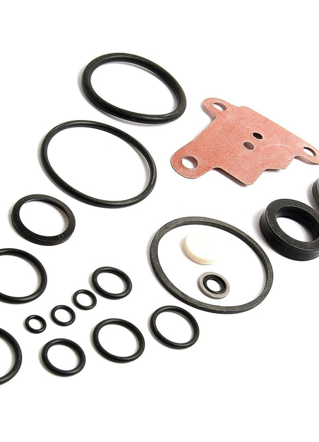 Seal Kit
 - S.40134 - Massey Tractor Parts