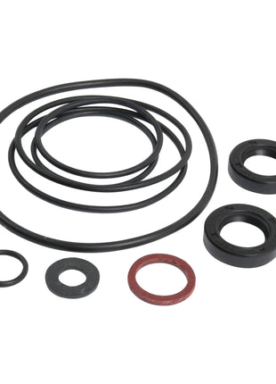 Seal Kit
 - S.40153 - Massey Tractor Parts
