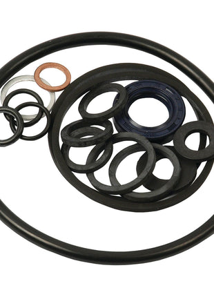 Seal Kit
 - S.40154 - Massey Tractor Parts