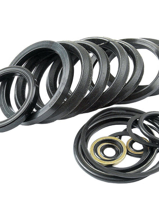 Seal Kit
 - S.41274 - Massey Tractor Parts