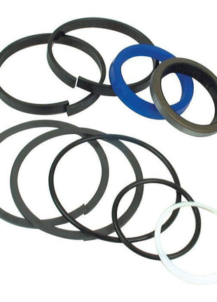 Seal Kit
 - S.41283 - Massey Tractor Parts