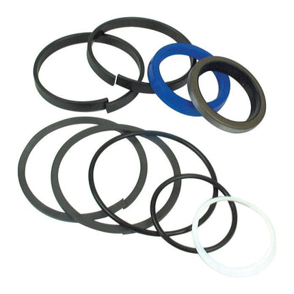 The Seal Kit (Bucket Ram), Sparex Part No. S.41283, by Sparex includes an assortment of black, white, and blue rubber and plastic circular seals ideally suited for Bucket Ram repairs on Massey Ferguson equipment, all elegantly arranged on a white background.