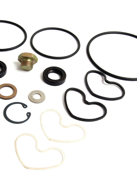 Seal Kit
 - S.41597 - Massey Tractor Parts