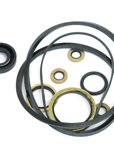 Seal Kit
 - S.41610 - Massey Tractor Parts