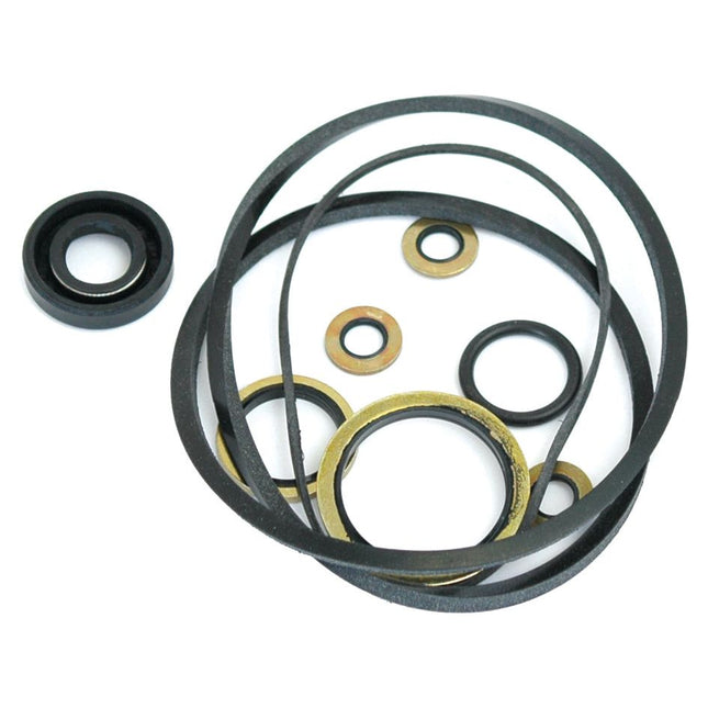A Seal Kit for Early Kidney-Shaped Pumps, including Sparex Part No. S.41610, is arranged on a white background.