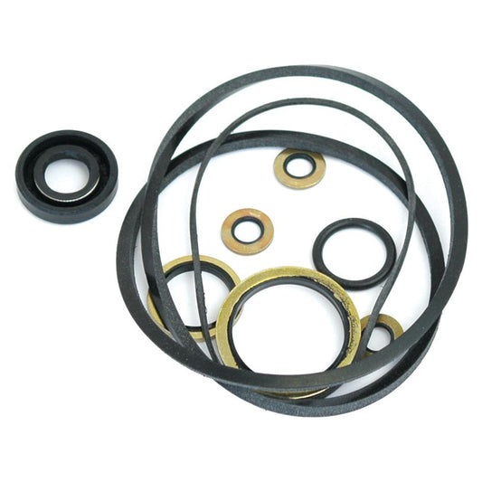A Seal Kit for Early Kidney-Shaped Pumps, including Sparex Part No. S.41610, is arranged on a white background.