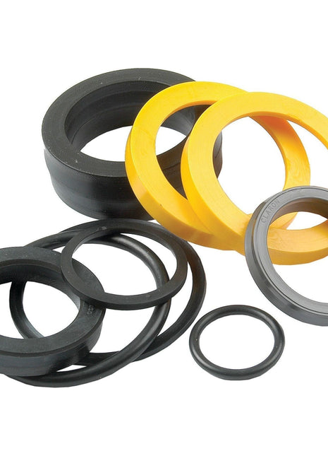 Seal Kit
 - S.41813 - Massey Tractor Parts
