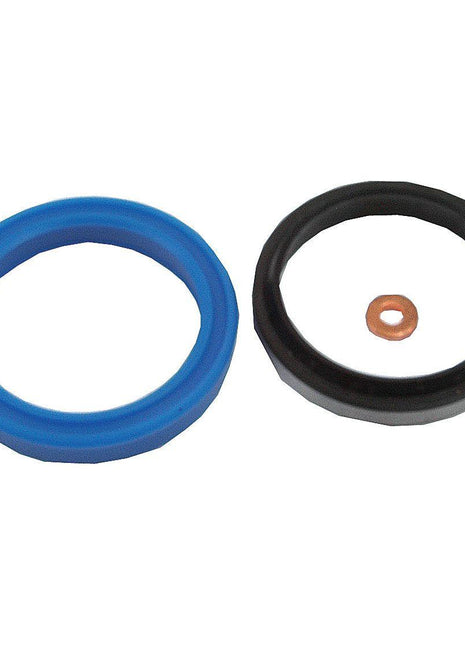 Seal Kit
 - S.42234 - Massey Tractor Parts