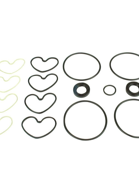 Seal Kit
 - S.42942 - Massey Tractor Parts