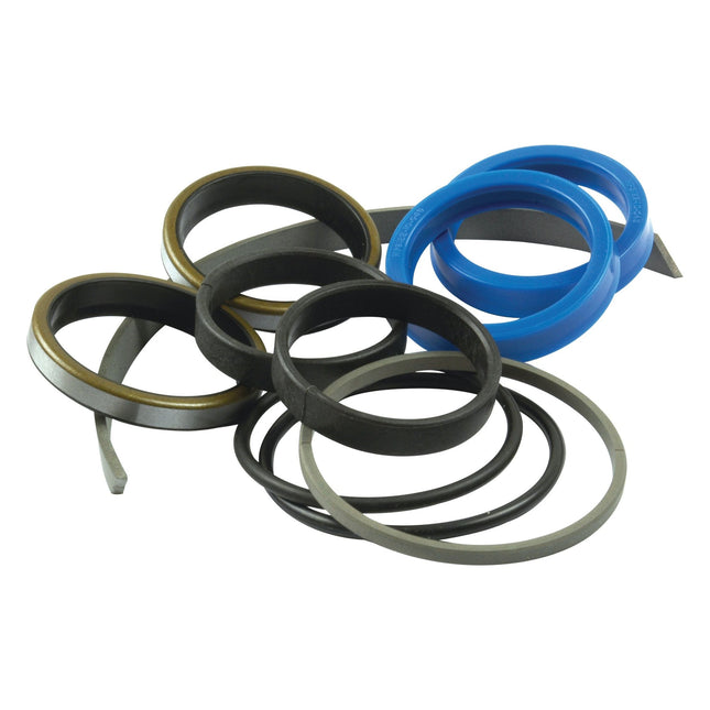 A collection of assorted O-ring seals in various colors (black, blue, gray, and brown) and sizes, neatly arranged on a white background. Ideal for use in Massey Ferguson power steering cylinders. The product is the Seal Kit (Power Steering Cylinder) by Sparex - Part No. S.43289.