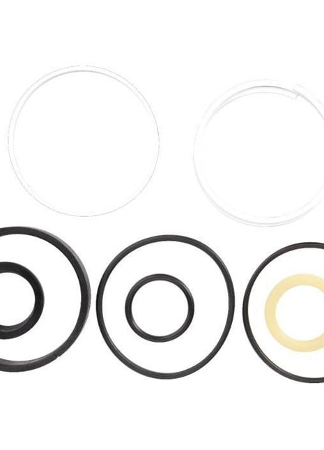 Seal Kit - Steering Cylinder - 1606890M91 - Massey Tractor Parts