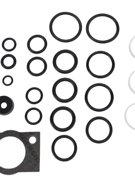 Massey Ferguson - Seal Kit, Valve Repair - 3102155M91 - Massey Tractor Parts
