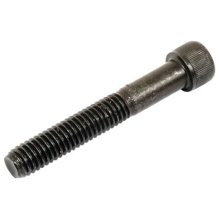 Socket Capscrew, Size: 1/2'' x 1 1/2'' UNF (BS 2470) - S.11700 - Massey Tractor Parts