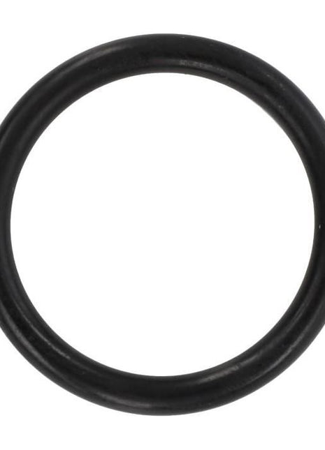 Steering Column O Ring - 1850234M1 - Massey Tractor Parts