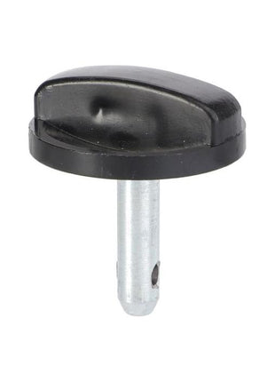 Stem - 3713160M91 - Massey Tractor Parts