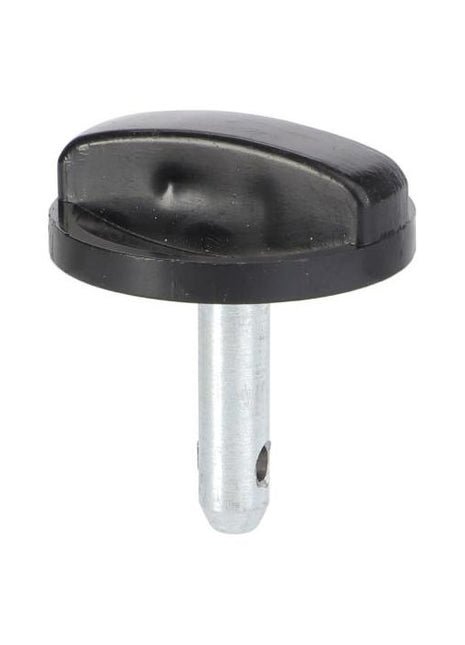 Stem - 3713160M91 - Massey Tractor Parts